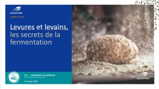 Lesaffre-Levures-et-levains